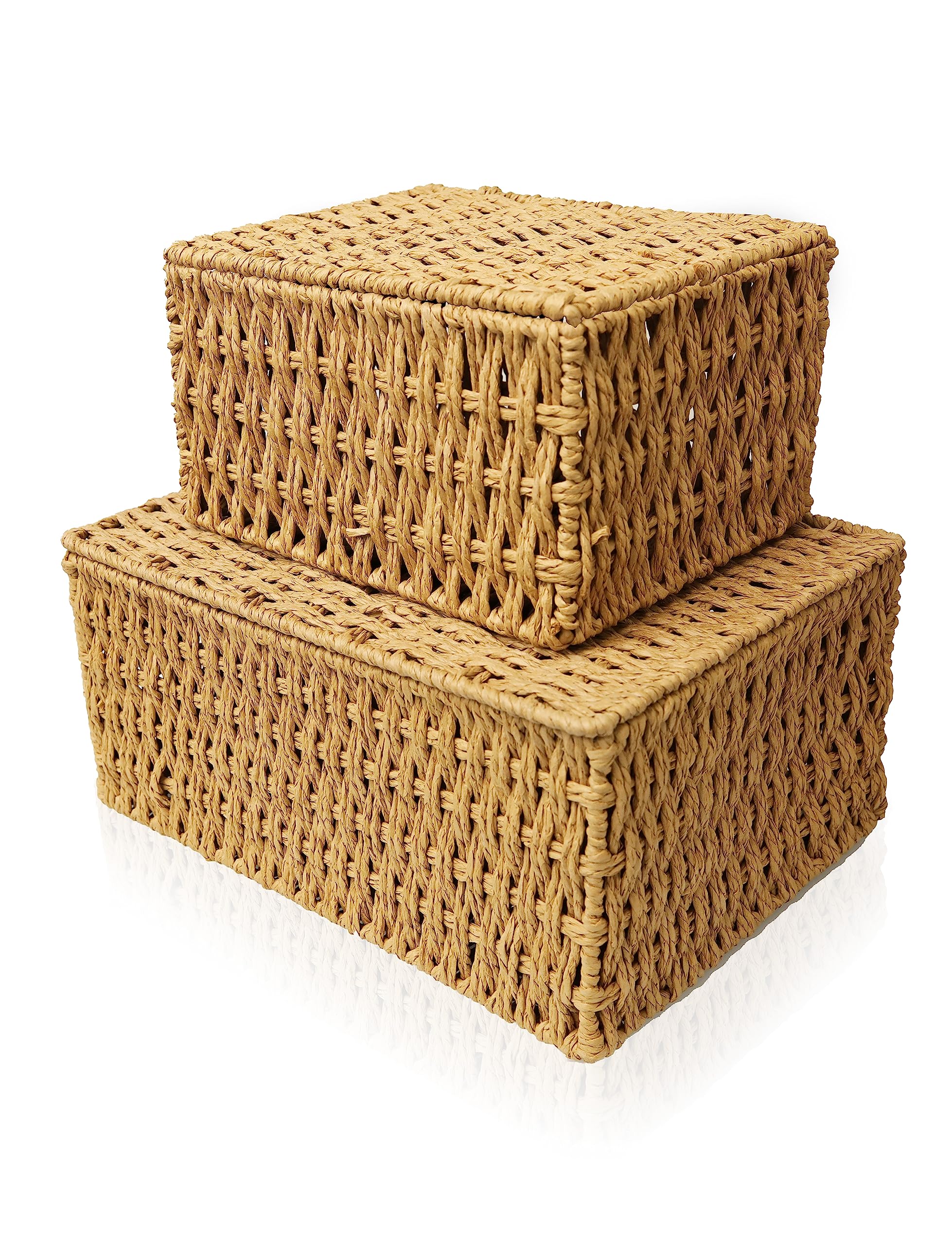 Woven Rope Storage Baskets with Lid Set of 2 in Beige